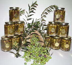 Arbequina olives